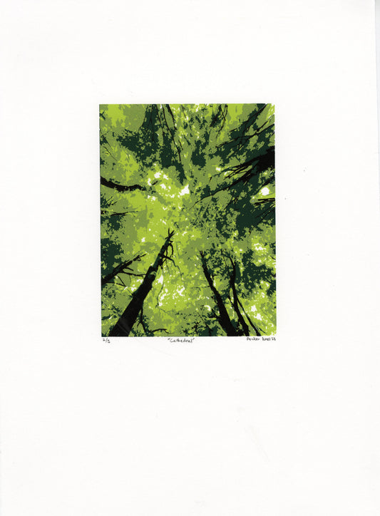 Prints by Packer Knell