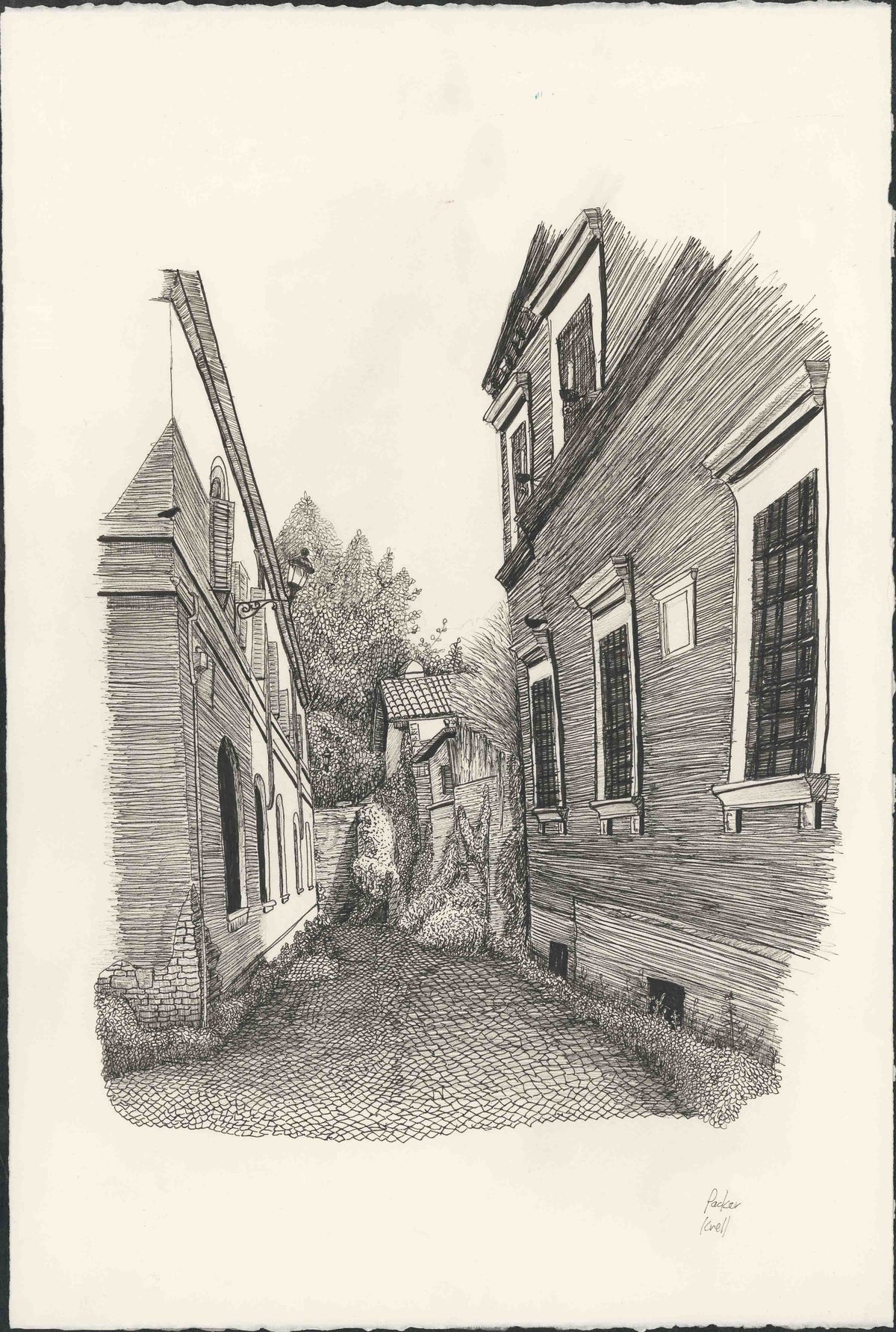 Prints by Packer Knell