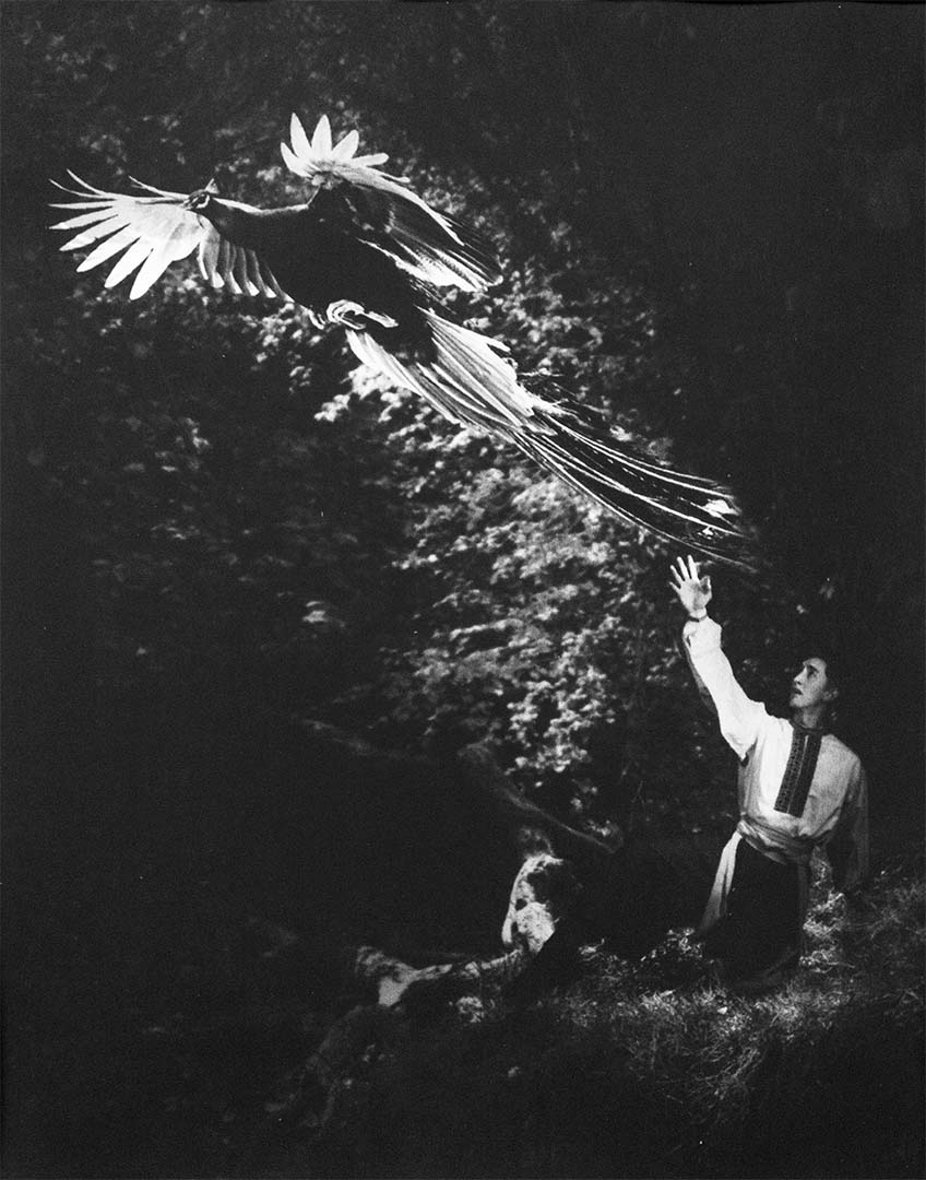 Saskia Hunter Photography
