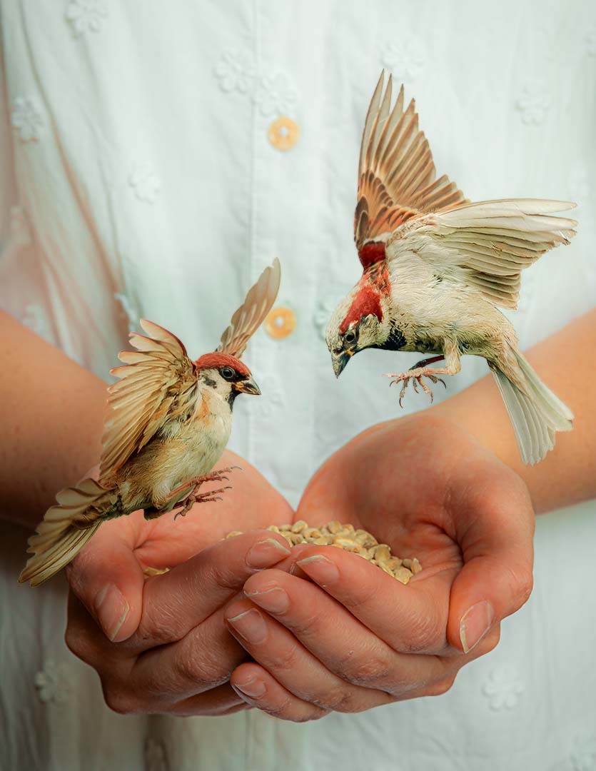 Saskia Hunter Photography