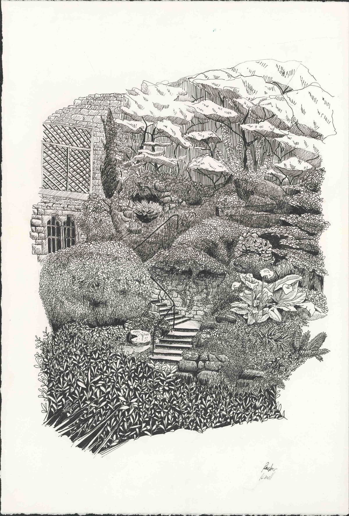 Prints by Packer Knell