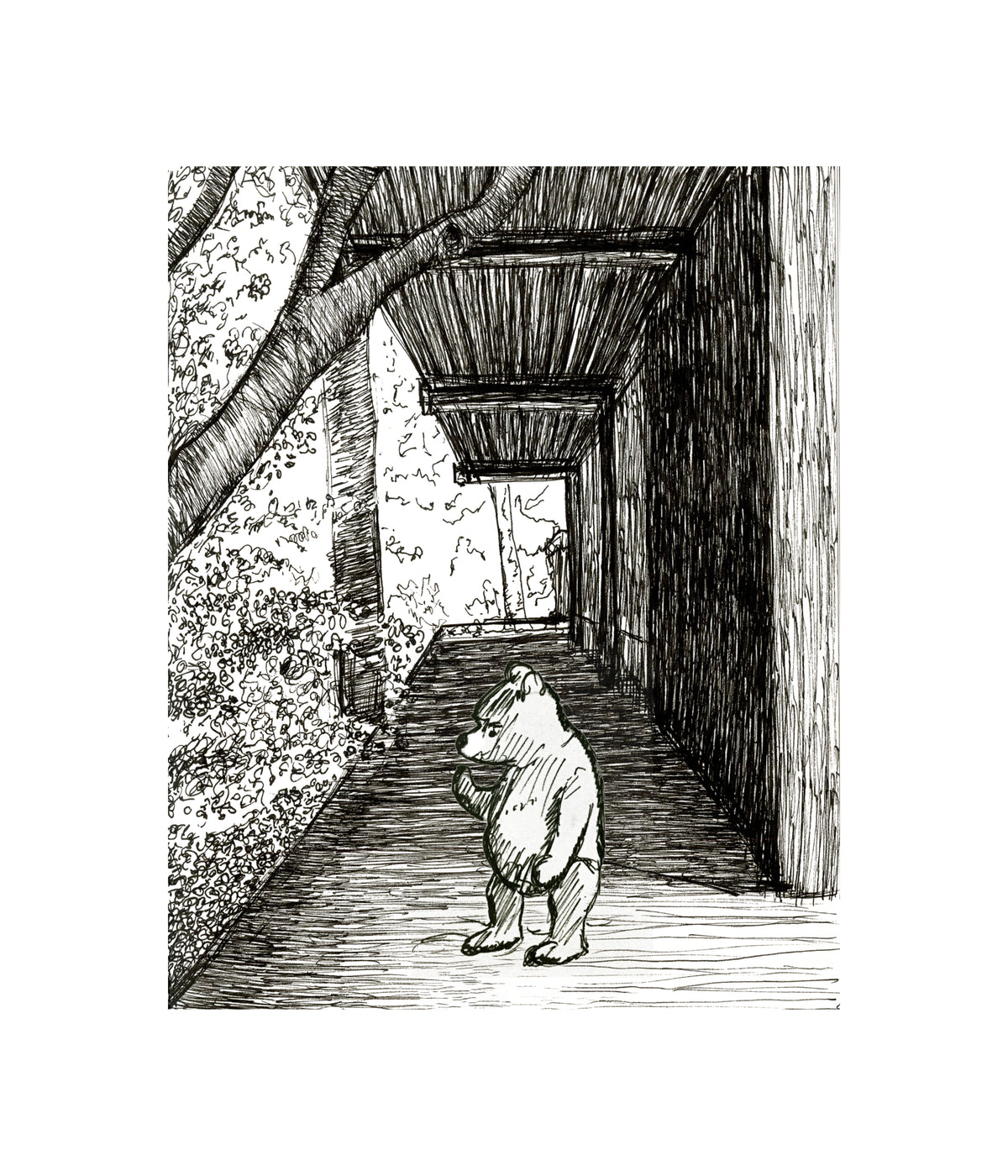 Prints by Packer Knell